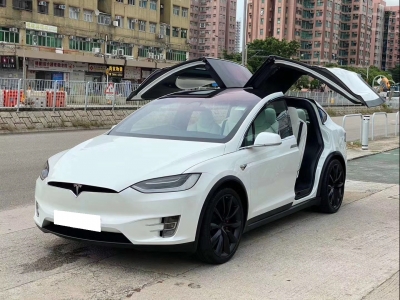  MODEL X P100D,特斯拉 Tesla,2016,WHITE 白色,6,3820