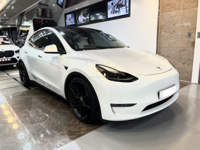  MODEL Y LR,特斯拉 Tesla,2021,WHITE 白色,5