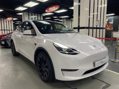  Model Y Long Range,特斯拉 Tesla,2022,WHITE 白色,5