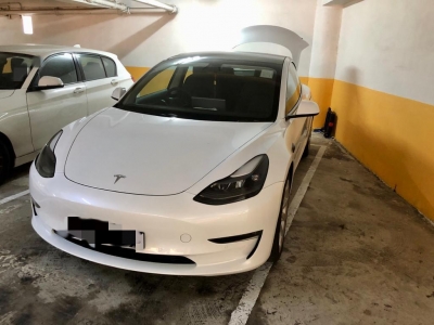  Model 3 LR,特斯拉 Tesla,2021,WHITE 白色,5