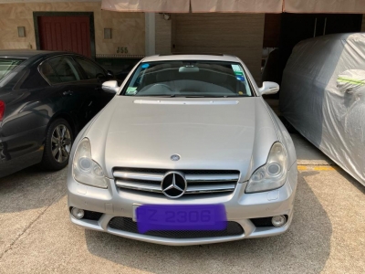  CLS350,平治 Mercedes-Benz,2010,SILVER 銀色,5